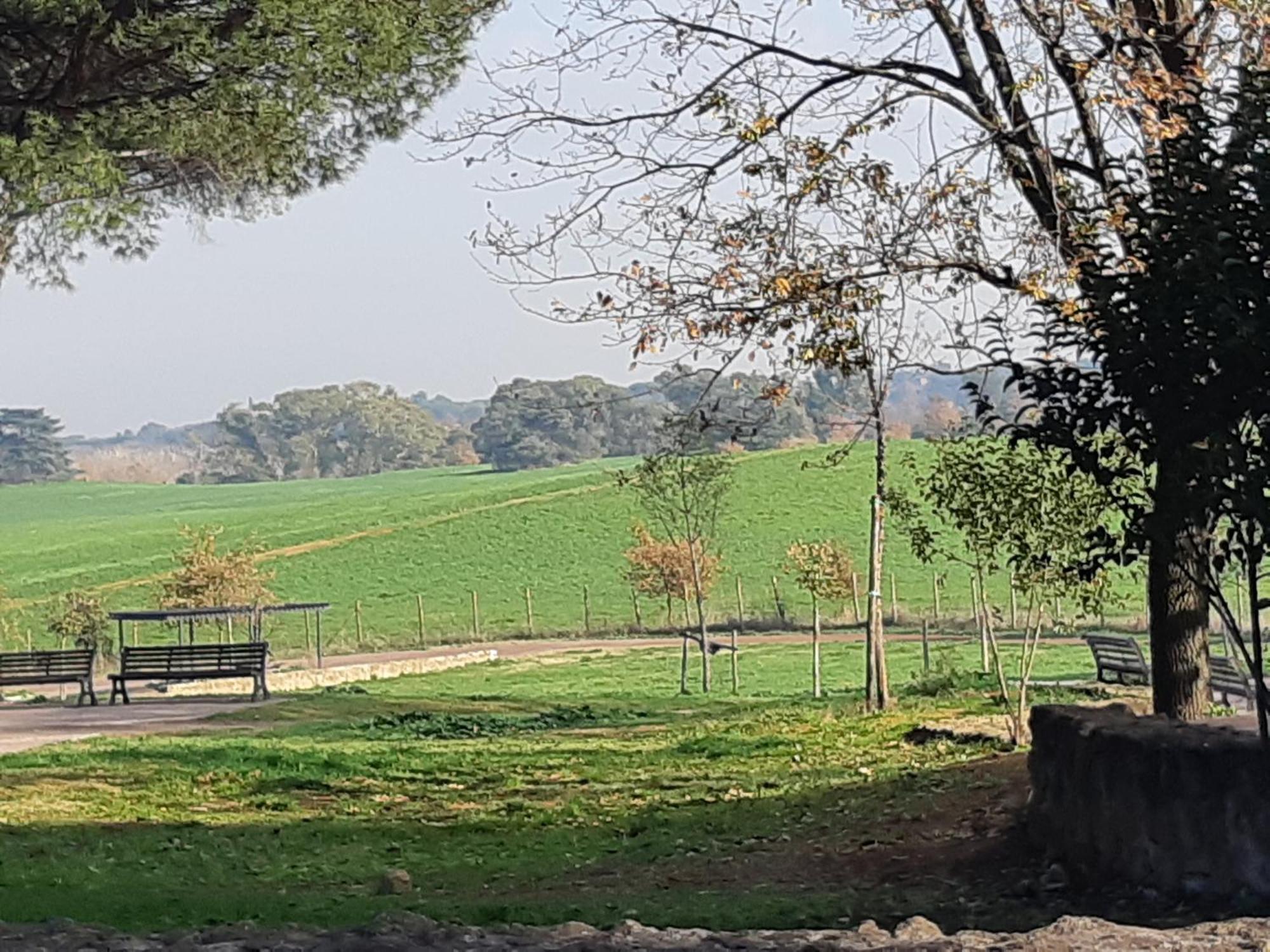 Maison Accademia Appartamento